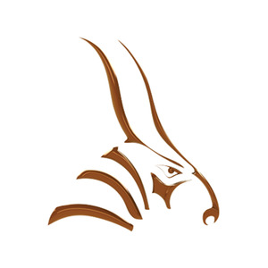 Products: Bongo Upgrade - LEAP Australia Pty