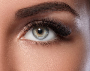 Products: 2 Day Classic / Volume Lash Extension Course Le Beauty