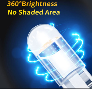 Products: T10 led