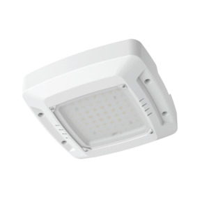LED Canopy Light IP65 Power and Colour Selectable