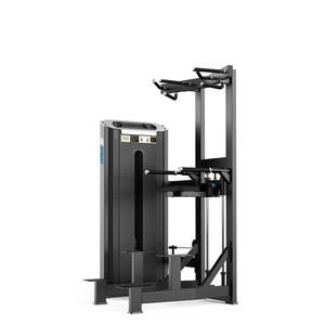 Products: Dip/Chin Assist Machine Commercial Machine - Lee Warehouse