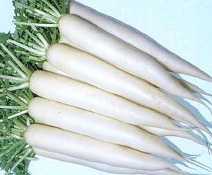 Products: Radish Daikon - TROY - Lefroy Valley