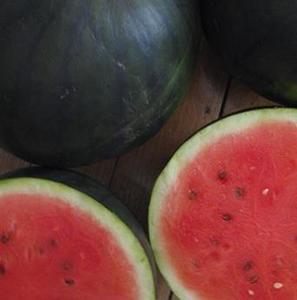 Watermelon Seeded - SUGARSWEET - Lefroy Valley