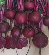 Products: Beetroot - BUZZARD - Lefroy Valley