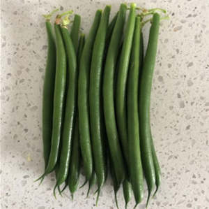 Beans Dwarf - MASERATI - Lefroy Valley