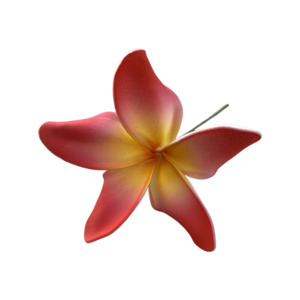 Frontpage: Frangipani Curve red/white