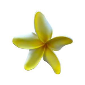 Frontpage: Frangipani Curve white/yellow