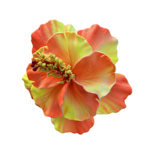 Frontpage: Aute Double Yellow/Orange