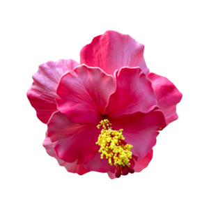 Frontpage: Aute Double Pink/pink