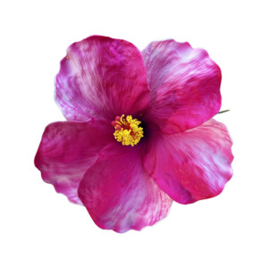 Frontpage: Aute Hotpink/pink