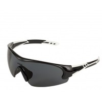 Interchangeable Lenses: Napoli smoke polarized interchangeable lens