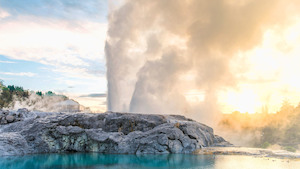 Products: Tours - Let's Go NZ