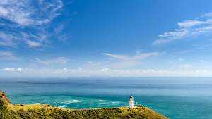 Bay of Islands 3 Day Tour