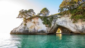 New Zealand Grand Tour for 14 Days