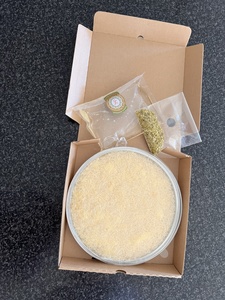 Products: Ready to bake Kunafa ( Wellington only) – Levant Sweets