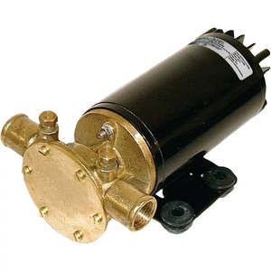 Dc Driven Flexible Impeller Pumps: JOHNSON F4B-19 Driven Flexible Impeller Pump (12V Or 24V)