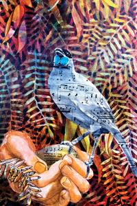 Keeping the Song - Kokako