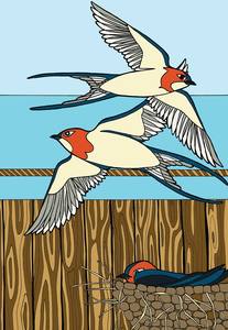 Black And White Prints: Barn Swallow