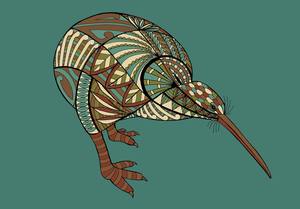 Black And White Prints: Kiwi bird