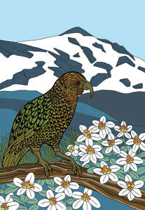 Alpine Kea