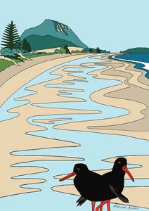 A Kiwi Tiki Tour Series: Tiki Tour - Oyster Catchers at Mt Maunganui
