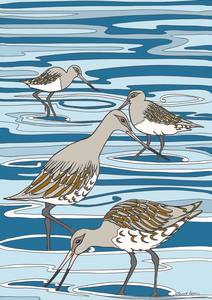 A Kiwi Tiki Tour Series: Tiki Tour - Godwits at Miranda