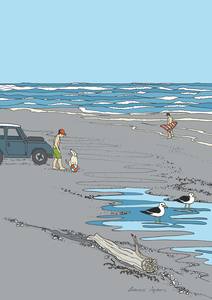 A Kiwi Tiki Tour Series: Tiki Tour - Black Backed Gulls at Foxton Beach