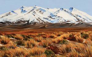 Landscape Prints: Mt Ruapehu - Desert Road