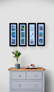 Framed Prints: Three Prints In A Frame