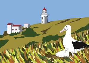 The South Island Nz: Harrington Point Dunedin - South Island NZ