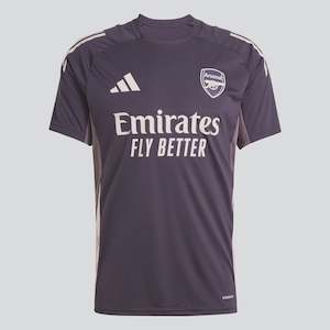 English Football: JF2915 ADIDAS AFC ARSENAL TR TEE