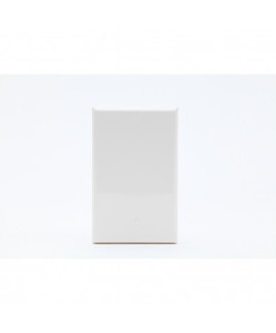 Products: PDL650BVHWH PDL 600 Grid + Blank Plate White