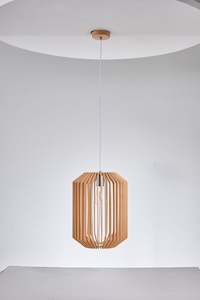 Anita Wood Stylish Pendant Light PT3040