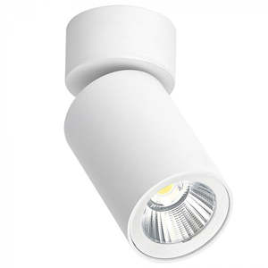 Silo Downlight / Spotlight Flexible Beam GS-SC616-WH
