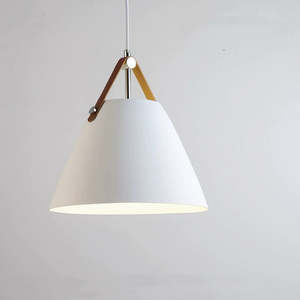 DEMO Clearance Single Pendant Light PL0527W