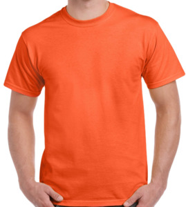 Products: Block Coloured Tees (6 different colours) Step Beyond Studios