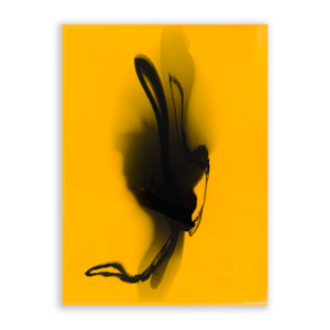 Rachel Rush Original Artworks Limn Gallery Nz: Rachel Rush - Mirage