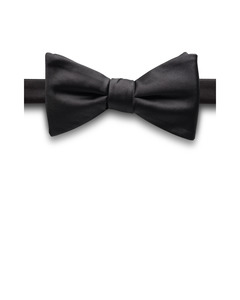 Main Page Collection: Fellini Bow  Tie