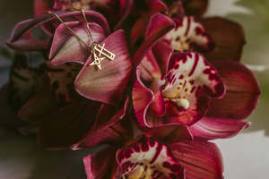 Unity: Star Crossed Loves Necklace - GOLD
