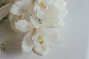 Unity: Star Crossed Loves Necklace - Silver