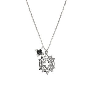 Starseed Collection: Starseed Mini with Black Embellishment Necklace | Silver