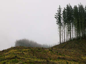 The Remembrance Project #7