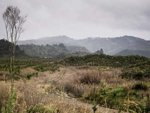 The Remembrance Project #2