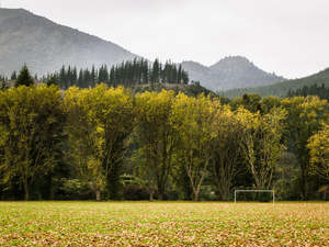 The Remembrance Project #1