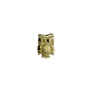 Gold Owl - Wise One