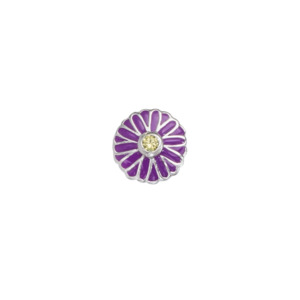 Flowers: Aster