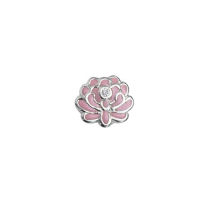 Flowers: Chrysanthemum