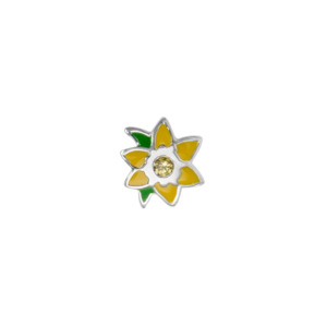 Flowers: Daffodil