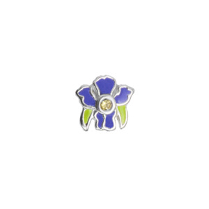 Flowers: Iris