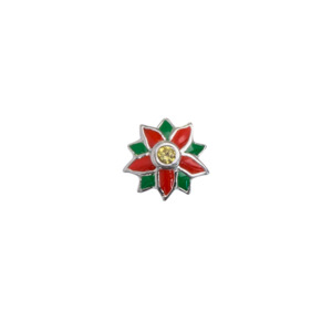 Flowers: Poinsettia